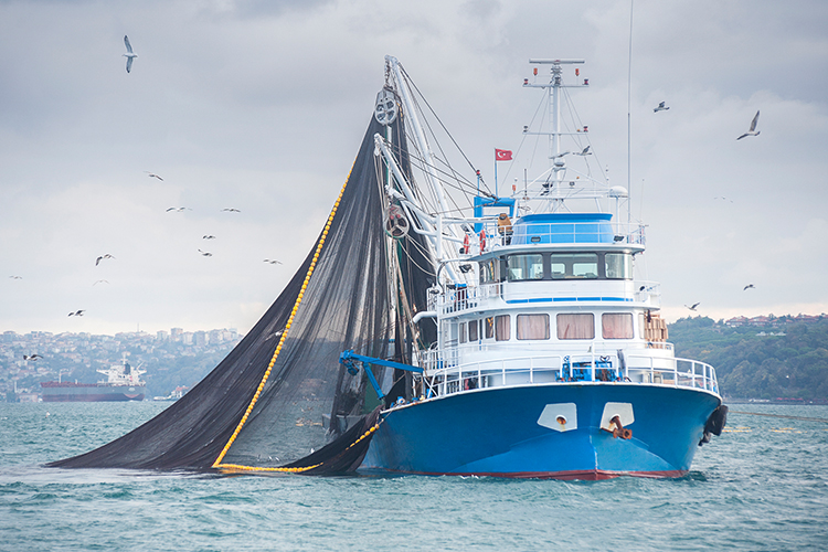 Fishing vessel